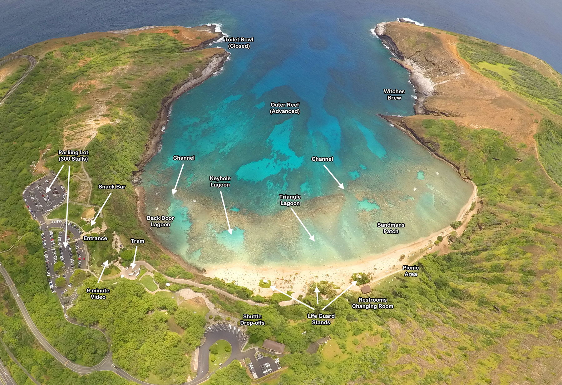 Hanauma Bay State Park Reef Map