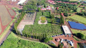 Dole Pineapple Plantation North Shore