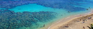 Hanauma Bay and North Shore