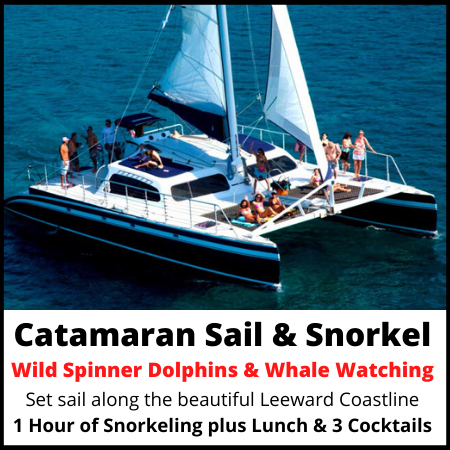 Catamaran Sail and Snorkel
